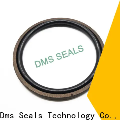 DMS Seals piston oil seal glyd ring for sale 1