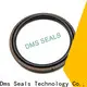 DMS Seals piston oil seal glyd ring for sale 1