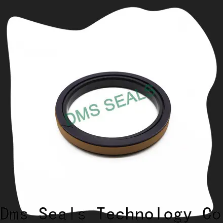 DMS Seals Custom hyd cylinder seal kit manufacturers for light and medium hydraulic systems 1