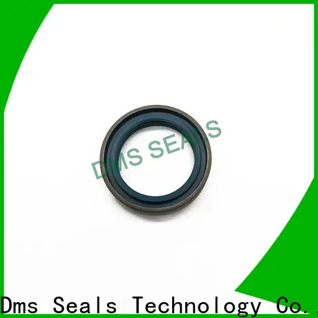 DMS Seals double lip tcv oil seal with integrated spring for low and high viscosity fluids sealing 1