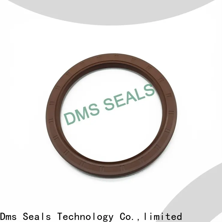 DMS Seals professional diff oil seal with low radial forces for housing 1