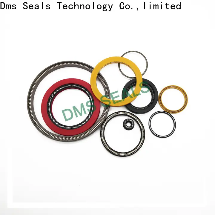 DMS Seals delta mechanical seals for business for reciprocating piston rod or piston single acting seal 1