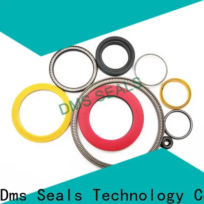 DMS Seals crane mechanical seals manufacturers for reciprocating piston rod or piston single acting seal 1