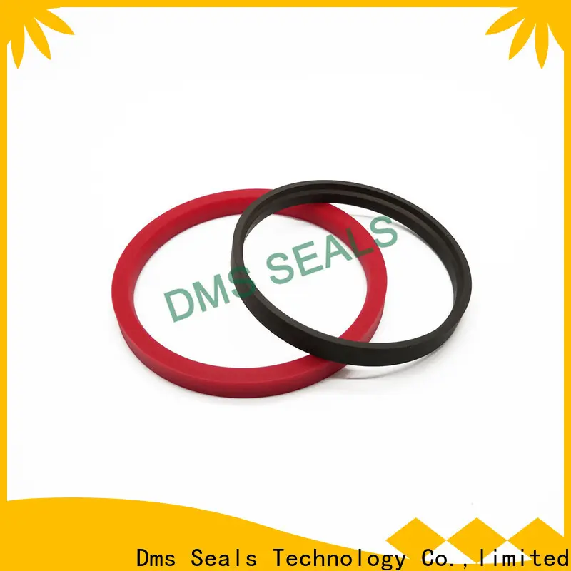 DMS Seals ptfe hydraulic seals companies supplier for piston and hydraulic cylinder 1