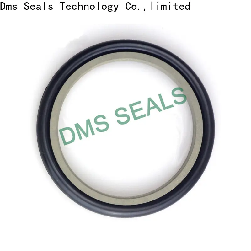 ptfe lead seals suppliers supplier for larger piston clearance 1