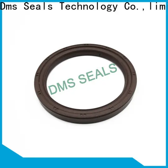 DMS Seals national bearing and seal catalog with integrated spring for low and high viscosity fluids sealing 1