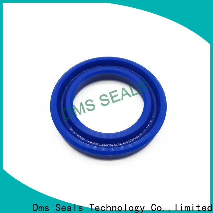 DMS Seals hydraulic cylinder piston seals wholesale 1