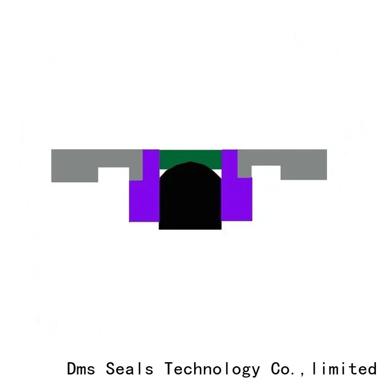 DMS Seals oil seal hydraulic Supply for sale 1