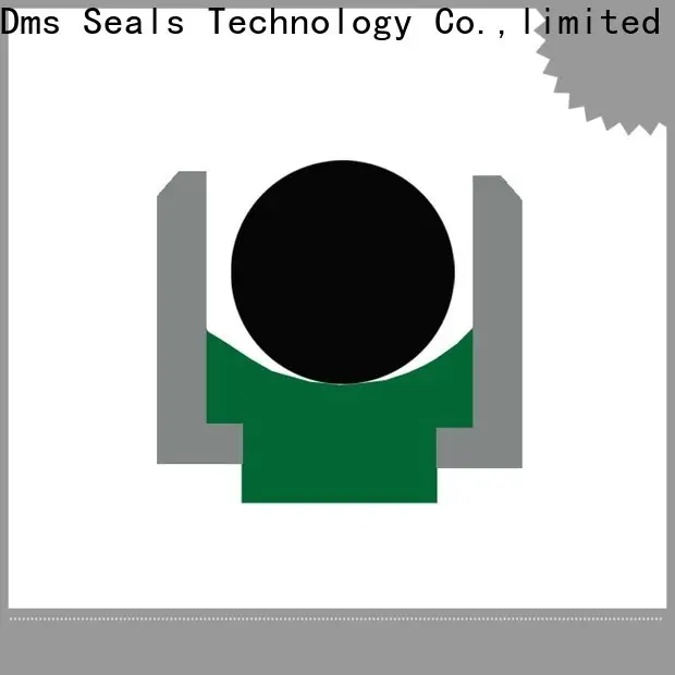 DMS Seals bucket cylinder seal kit to high and low speed 1