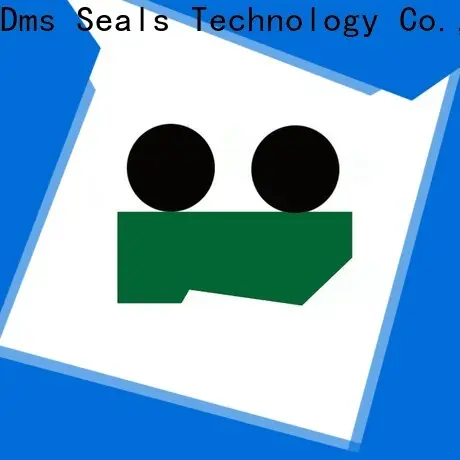 DMS Seals wiper seal design company for injection molding machines 1