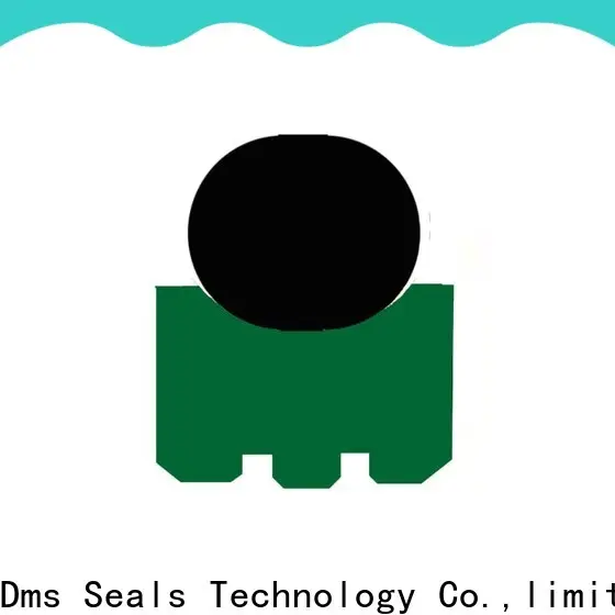 DMS Seals lip seal viton manufacturers for automotive equipment 1