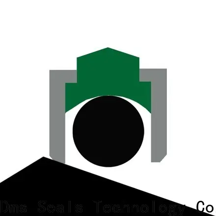 DMS Seals High-quality metric lip seals for construction machinery 1