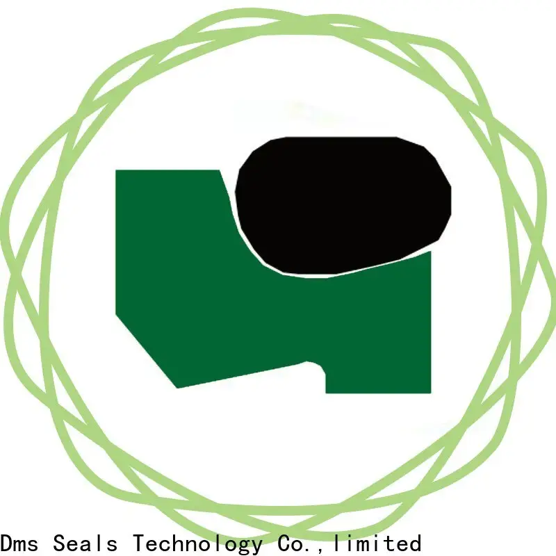 DMS Seals cylinder oil seal company for cranes 1