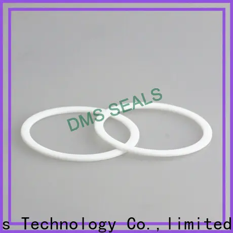 DMS Seals window gasket material ring for preventing the seal from being squeezed 1
