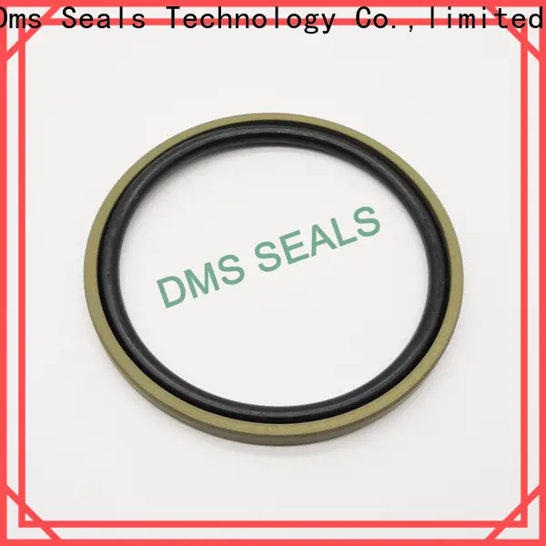 DMS Seals hot sale glyd ring wholesale for piston and hydraulic cylinder 1
