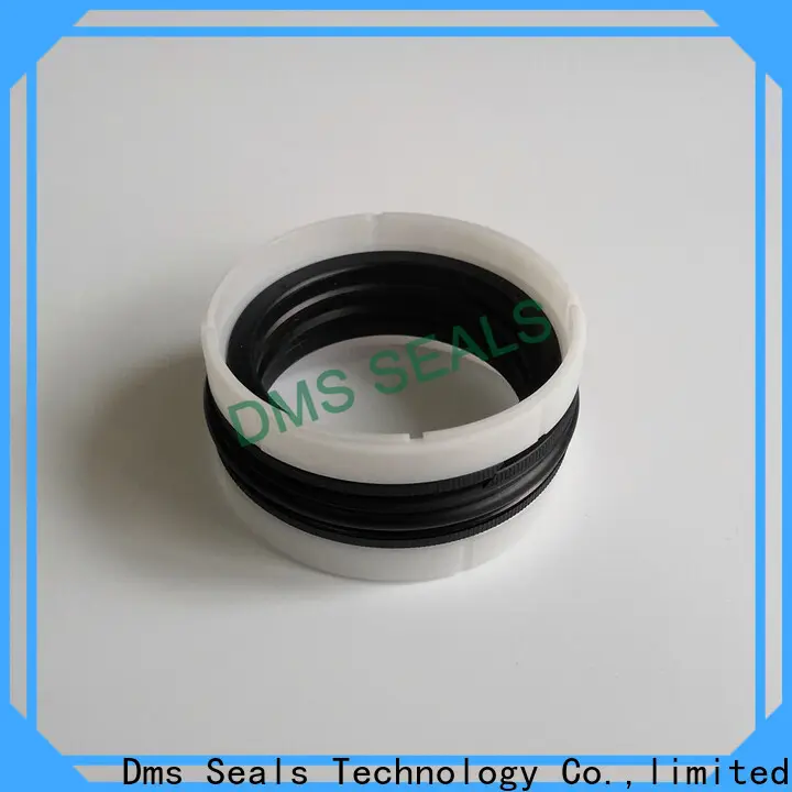 custom mechanical seals pune supplier for larger piston clearance 1