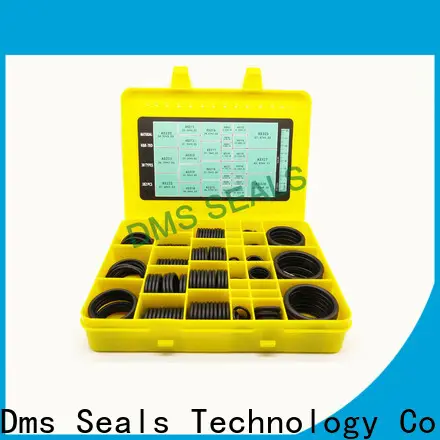 DMS Seals Custom glass o ring factory For sealing products 1