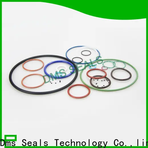 Latest lip seal o ring Supply in highly aggressive chemical processing 1