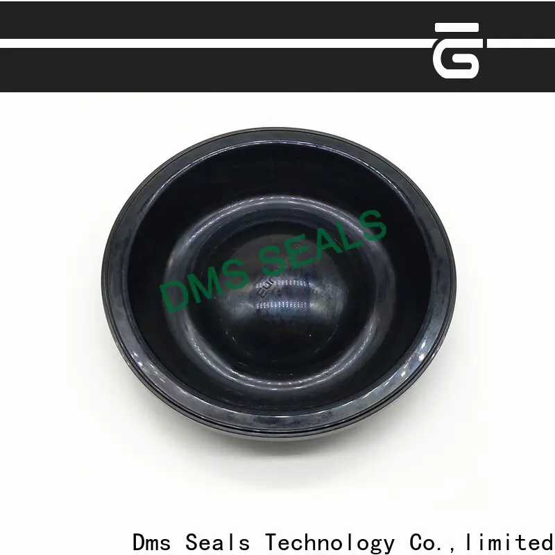 DMS Seals rubber trim products with valuable elasticity for leakage gap 1