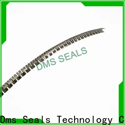 DMS Seals inflatable seal manufacturer glyd ring for larger piston clearance 1