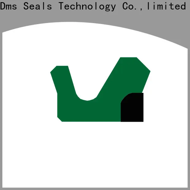 DMS Seals rod seals with nbr or fkm o ring for pressure work and sliding high speed occasions 1