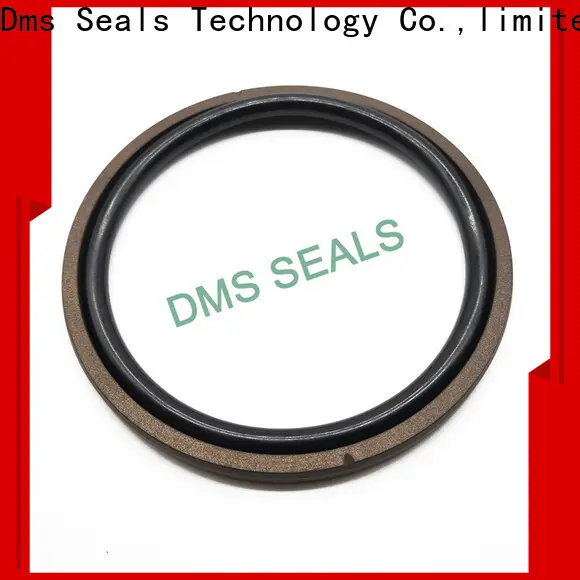 DMS Seals Custom hydraulic piston seals Supply for sale 1