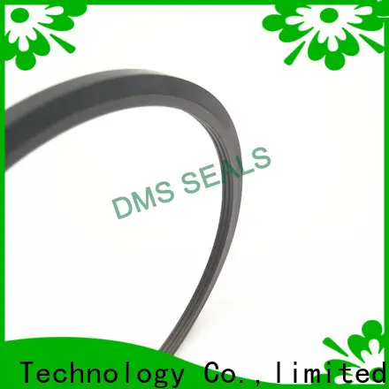 DMS Seals rubber seal ring manufacturers glyd ring for piston and hydraulic cylinder 1