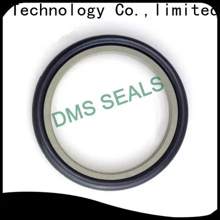DMS Seals hydraulic seals catalogue supplier for larger piston clearance 1