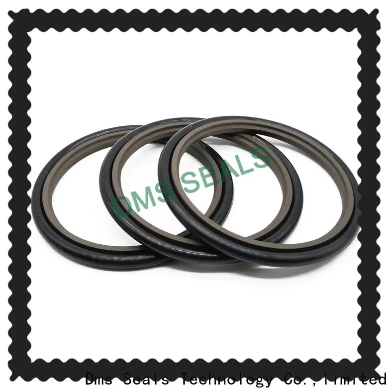 compact abs mechanical seal glyd ring 1
