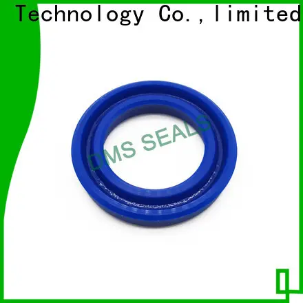 DMS Seals rubber seal molding wholesale for piston and hydraulic cylinder 1