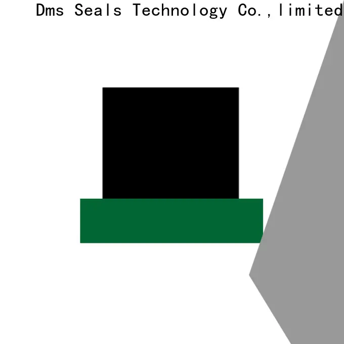 DMS Seals best hydraulic cylinder seal compression tool manufacturers to high and low speed 1