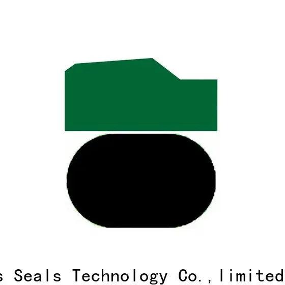 High-quality piston seals for business for light and medium hydraulic systems 1