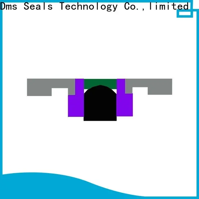DMS Seals High-quality hydraulic gasket sealant manufacturer for sale 1