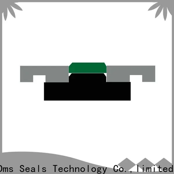 DMS Seals rubber piston rings Suppliers for sale 1