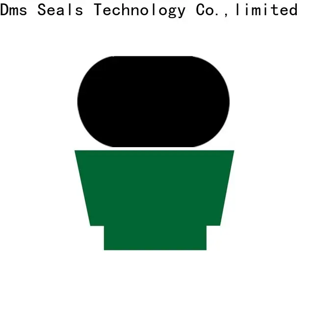 DMS Seals High-quality hydraulic sealer manufacturers for pressure work and sliding high speed occasions 1
