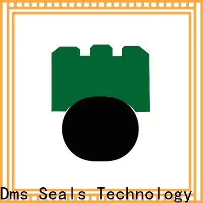 DMS Seals hydraulic national grease seals for business for automotive equipment 1