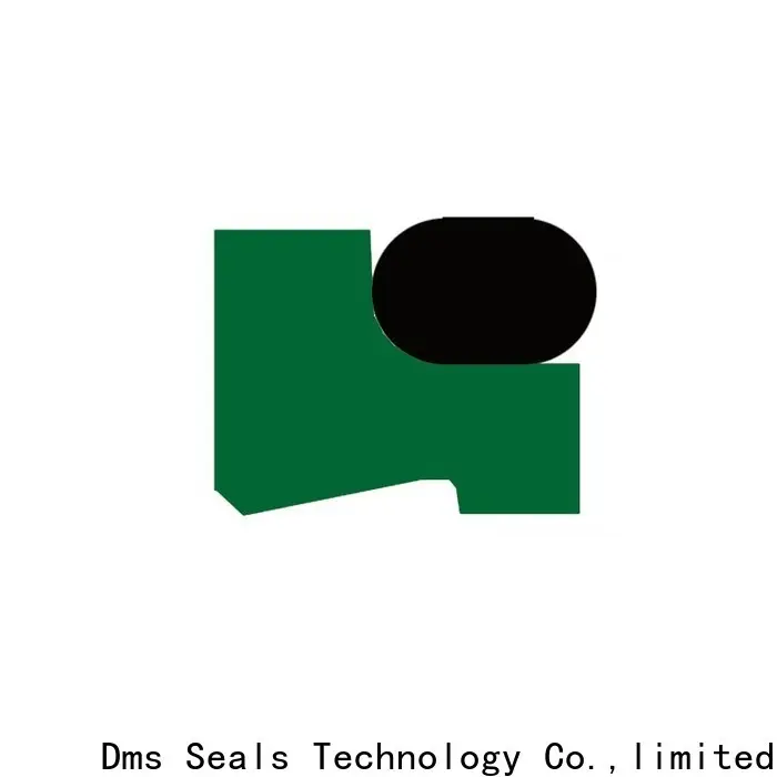 DMS Seals hydraulic cylinder design guide manufacturer for injection molding machines 1