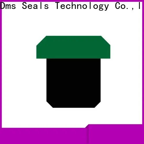 DMS Seals hydraulic piston seal installation Supply for light and medium hydraulic systems 1