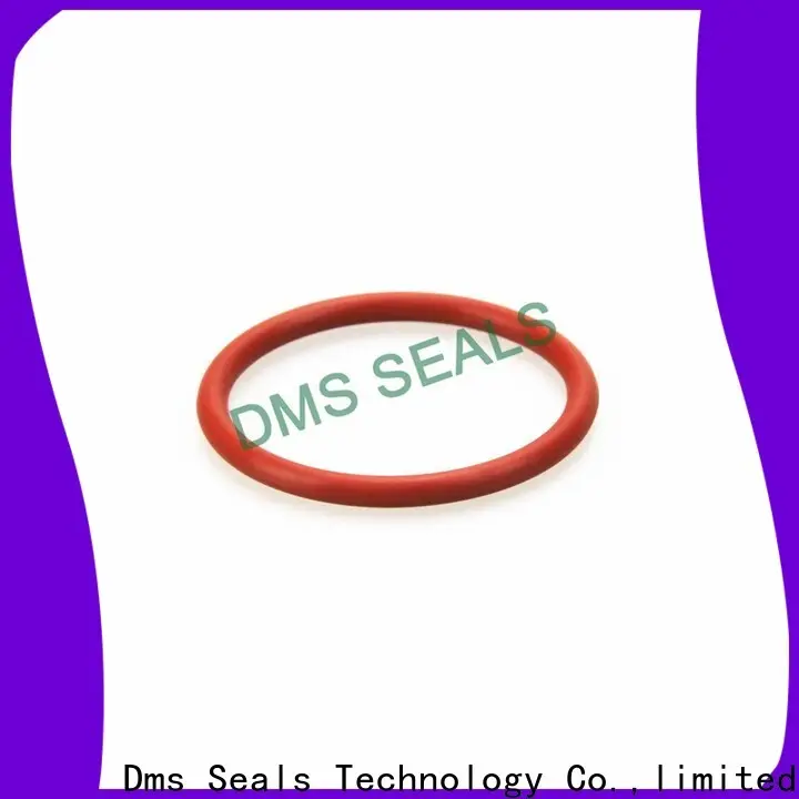 DMS Seals nitrile rubber o rings large company for sale 1