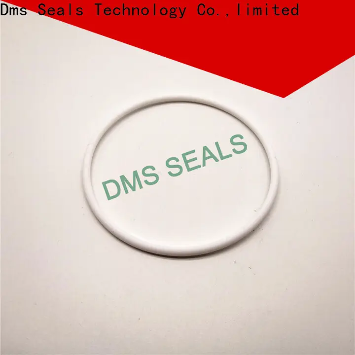 Custom o ring cord manufacturer factory in highly aggressive chemical processing 1
