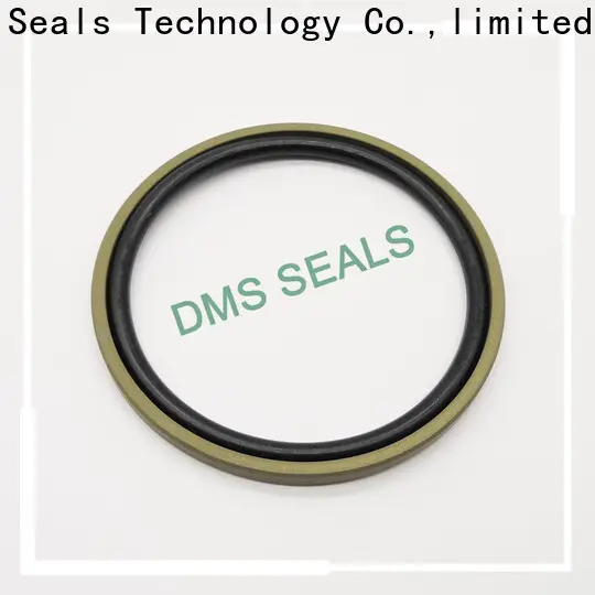 DMS Seals bronze filled meter seals suppliers glyd ring 1