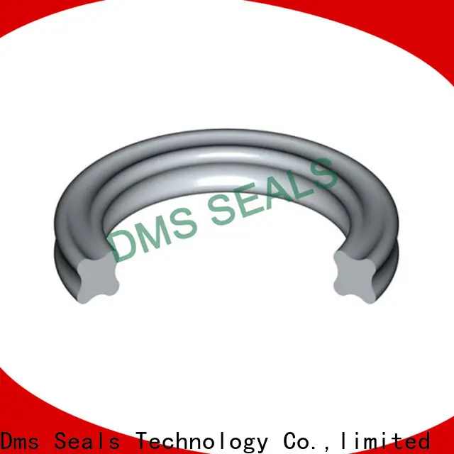 DMS Seals Top buy o rings locally manufacturers in highly aggressive chemical processing 1