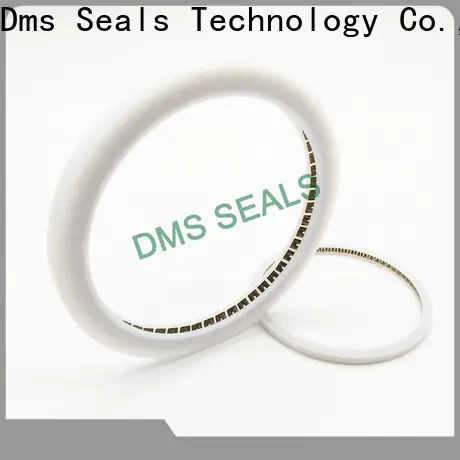 DMS Seals springseal inc for business for aviation 1