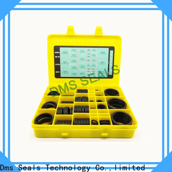 DMS Seals quality oring set Supply For seal 1
