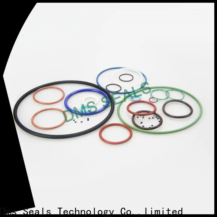 DMS Seals rubber o rings ace hardware company in highly aggressive chemical processing 1