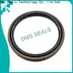 DMS Seals double acting piston cup glyd ring for light and medium hydraulic systems 1
