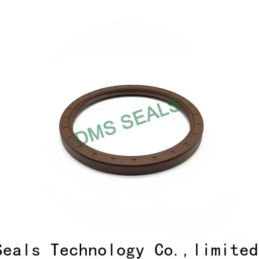 DMS Seals spring loaded oil seal with low radial forces for housing 1