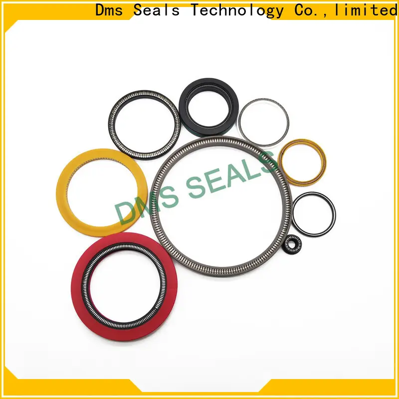 DMS Seals High-quality spring loaded oil seal for aviation 1
