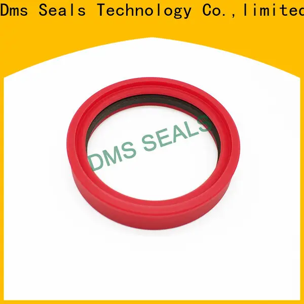 DMS Seals pump seal supplies glyd ring for piston and hydraulic cylinder 1