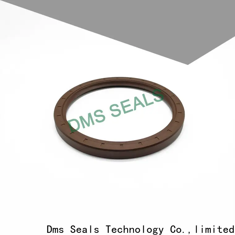 DMS Seals high quality automobile oil seal with low radial forces for housing 1